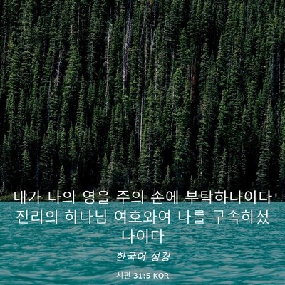 Picture 03 - 시편 31:5 KOR - 내가 나의 영을 주의 손에 - Bible Verse Picture