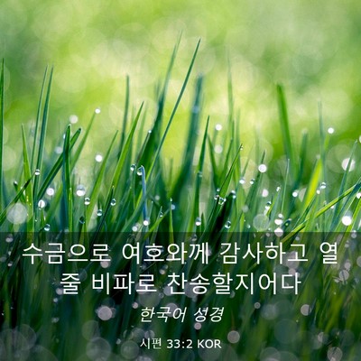 Picture 03 - 시편 33:2 KOR - 수금으로 여호와께 감사하고 열 줄 - Bible Verse Picture
