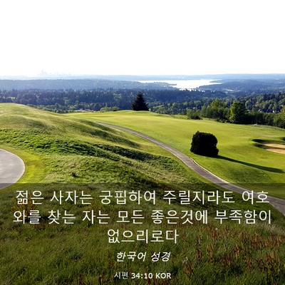 Picture 03 - 시편 34:10 KOR - 젊은 사자는 궁핍하여 주릴지라도 - Bible Verse Picture