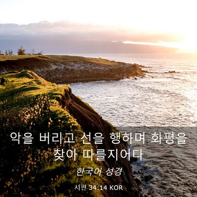 Picture 03 - 시편 34:14 KOR - 악을 버리고 선을 행하며 화평을 - Bible Verse Picture