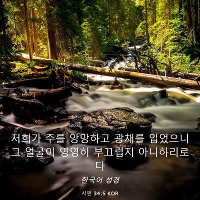 Picture 03 - 시편 34:5 KOR - 저희가 주를 앙망하고 광채를 - Bible Verse Picture