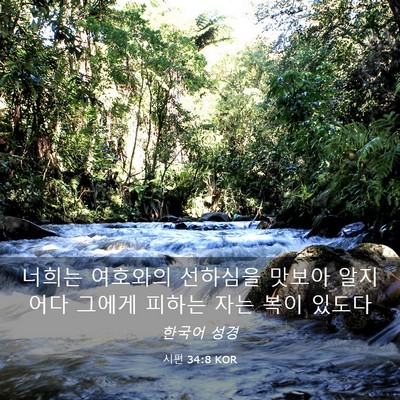 Picture 03 - 시편 34:8 KOR - 너희는 여호와의 선하심을 맛보아 - Bible Verse Picture