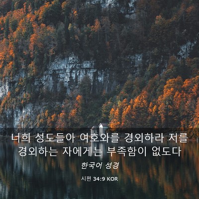 Picture 03 - 시편 34:9 KOR - 너희 성도들아 여호와를 경외하라 - Bible Verse Picture