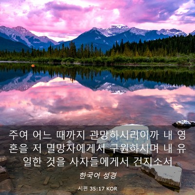Picture 03 - 시편 35:17 KOR - 주여 어느 때까지 관망하시리이까 내 - Bible Verse Picture