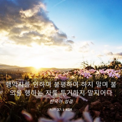 Picture 03 - 시편 37:1 KOR - 행악자를 인하여 불평하여 하지 말며 - Bible Verse Picture
