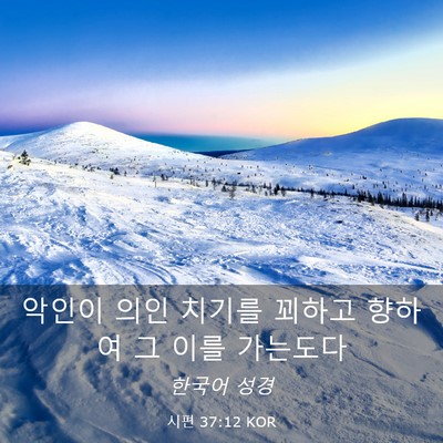 Picture 03 - 시편 37:12 KOR - 악인이 의인 치기를 꾀하고 향하여 - Bible Verse Picture