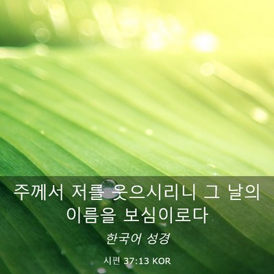 Picture 03 - 시편 37:13 KOR - 주께서 저를 웃으시리니 그 날의 - Bible Verse Picture