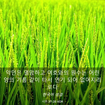 Picture 03 - 시편 37:20 KOR - 악인은 멸망하고 여호와의 원수는 - Bible Verse Picture