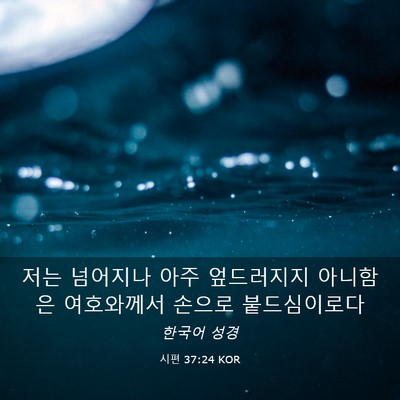 Picture 03 - 시편 37:24 KOR - 저는 넘어지나 아주 엎드러지지 - Bible Verse Picture