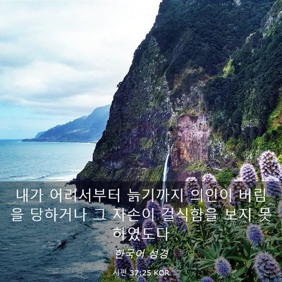 Picture 03 - 시편 37:25 KOR - 내가 어려서부터 늙기까지 의인이 - Bible Verse Picture