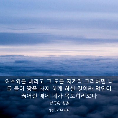 Picture 03 - 시편 37:34 KOR - 여호와를 바라고 그 도를 지키라 - Bible Verse Picture