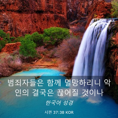 Picture 03 - 시편 37:38 KOR - 범죄자들은 함께 멸망하리니 악인의 - Bible Verse Picture
