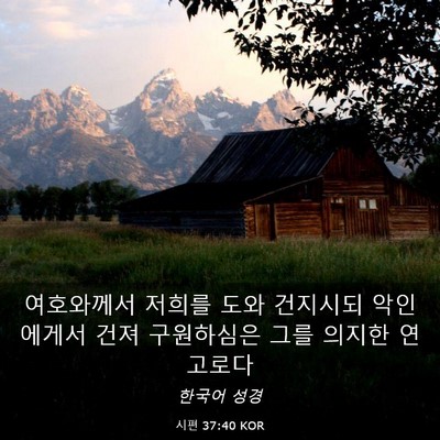 Picture 03 - 시편 37:40 KOR - 여호와께서 저희를 도와 건지시되 - Bible Verse Picture