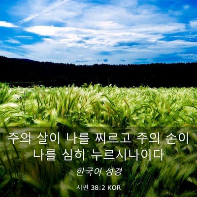 Picture 03 - 시편 38:2 KOR - 주의 살이 나를 찌르고 주의 손이 - Bible Verse Picture