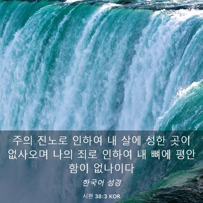 Picture 03 - 시편 38:3 KOR - 주의 진노로 인하여 내 살에 성한 - Bible Verse Picture