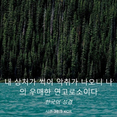 Picture 03 - 시편 38:5 KOR - 내 상처가 썩어 악취가 나오니 나의 - Bible Verse Picture