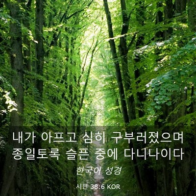 Picture 03 - 시편 38:6 KOR - 내가 아프고 심히 구부러졌으며 - Bible Verse Picture