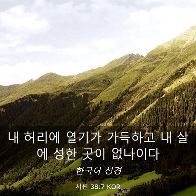 Picture 03 - 시편 38:7 KOR - 내 허리에 열기가 가득하고 내 살에 - Bible Verse Picture