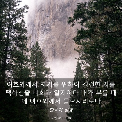 Picture 03 - 시편 4:3 KOR - 여호와께서 자기를 위하여 경건한 - Bible Verse Picture