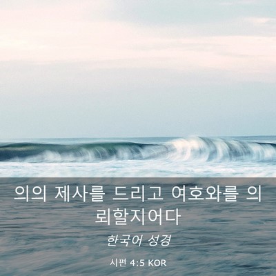 Picture 03 - 시편 4:5 KOR - 의의 제사를 드리고 여호와를 - Bible Verse Picture