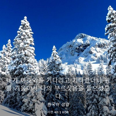 Picture 03 - 시편 40:1 KOR - 내가 여호와를 기다리고 기다렸더니 - Bible Verse Picture