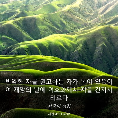 Picture 03 - 시편 41:1 KOR - 빈약한 자를 권고하는 자가 복이 - Bible Verse Picture