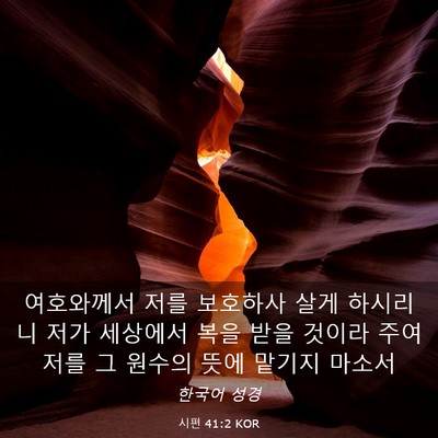 Picture 03 - 시편 41:2 KOR - 여호와께서 저를 보호하사 살게 - Bible Verse Picture