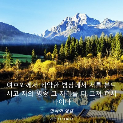 Picture 03 - 시편 41:3 KOR - 여호와께서 쇠약한 병상에서 저를 - Bible Verse Picture