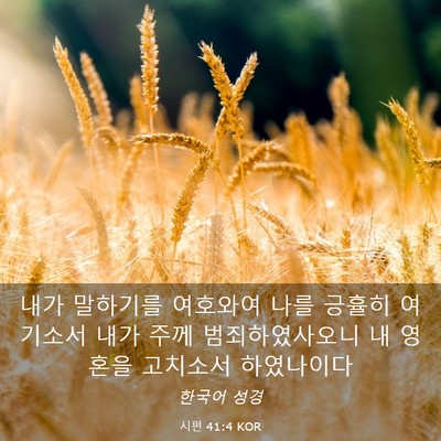 Picture 03 - 시편 41:4 KOR - 내가 말하기를 여호와여 나를 긍휼히 - Bible Verse Picture