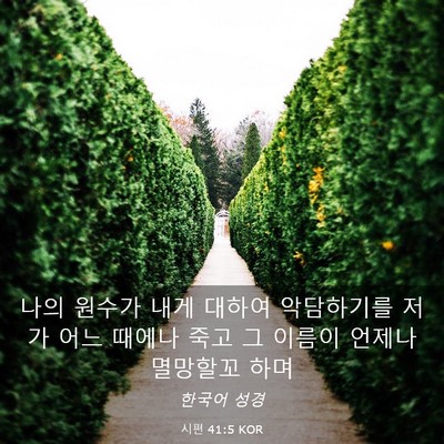 Picture 03 - 시편 41:5 KOR - 나의 원수가 내게 대하여 악담하기를 - Bible Verse Picture
