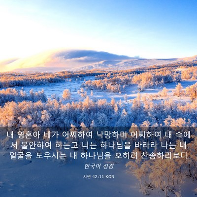 Picture 03 - 시편 42:11 KOR - 내 영혼아 네가 어찌하여 낙망하며 - Bible Verse Picture