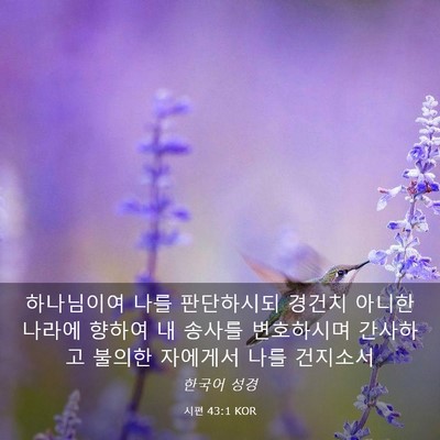 Picture 03 - 시편 43:1 KOR - 하나님이여 나를 판단하시되 경건치 - Bible Verse Picture