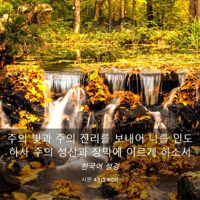 Picture 03 - 시편 43:3 KOR - 주의 빛과 주의 진리를 보내어 나를 - Bible Verse Picture
