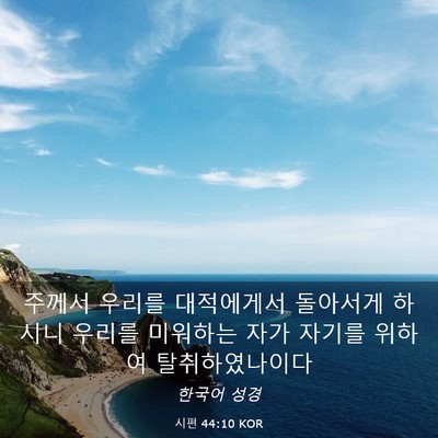 Picture 03 - 시편 44:10 KOR - 주께서 우리를 대적에게서 돌아서게 - Bible Verse Picture