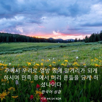 Picture 03 - 시편 44:14 KOR - 주께서 우리로 열방 중에 말거리가 - Bible Verse Picture