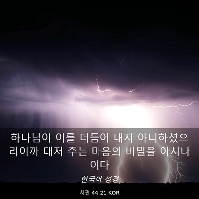Picture 03 - 시편 44:21 KOR - 하나님이 이를 더듬어 내지 - Bible Verse Picture