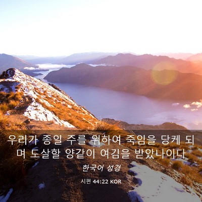 Picture 03 - 시편 44:22 KOR - 우리가 종일 주를 위하여 죽임을 - Bible Verse Picture