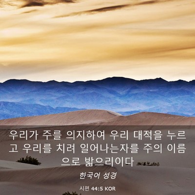 Picture 03 - 시편 44:5 KOR - 우리가 주를 의지하여 우리 대적을 - Bible Verse Picture