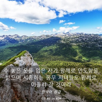 Picture 03 - 시편 45:14 KOR - 수 놓은 옷을 입은 저가 왕께로 - Bible Verse Picture