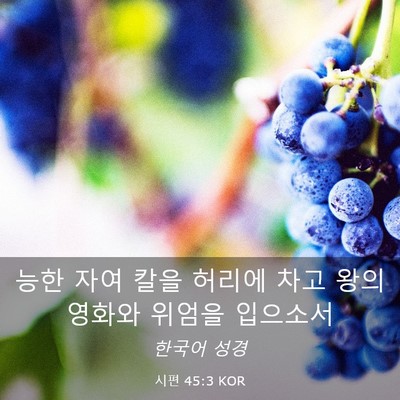 Picture 03 - 시편 45:3 KOR - 능한 자여 칼을 허리에 차고 왕의 - Bible Verse Picture