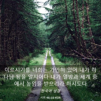 Picture 03 - 시편 46:10 KOR - 이르시기를 너희는 가만히 있어 내가 - Bible Verse Picture
