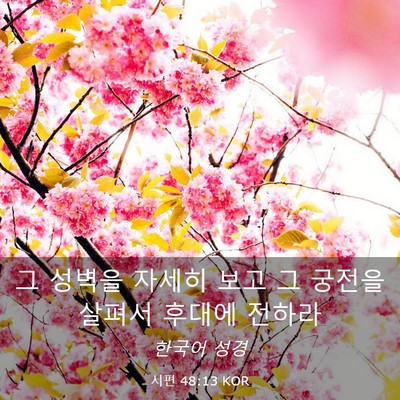 Picture 03 - 시편 48:13 KOR - 그 성벽을 자세히 보고 그 궁전을 - Bible Verse Picture