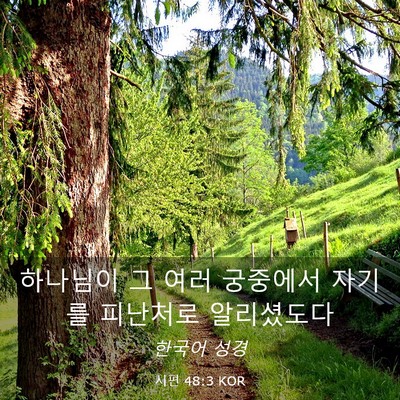 Picture 03 - 시편 48:3 KOR - 하나님이 그 여러 궁중에서 자기를 - Bible Verse Picture