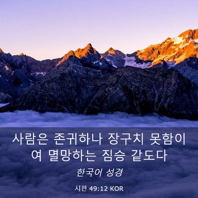 Picture 03 - 시편 49:12 KOR - 사람은 존귀하나 장구치 못함이여 - Bible Verse Picture