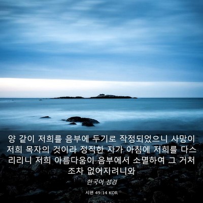 Picture 03 - 시편 49:14 KOR - 양 같이 저희를 음부에 두기로 - Bible Verse Picture