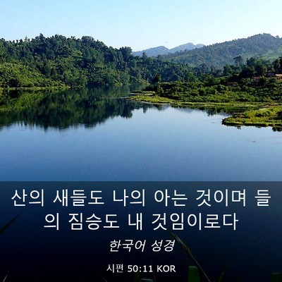 Picture 03 - 시편 50:11 KOR - 산의 새들도 나의 아는 것이며 들의 - Bible Verse Picture