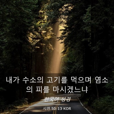 Picture 03 - 시편 50:13 KOR - 내가 수소의 고기를 먹으며 염소의 - Bible Verse Picture