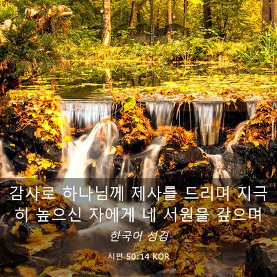 Picture 03 - 시편 50:14 KOR - 감사로 하나님께 제사를 드리며 - Bible Verse Picture