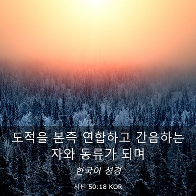 Picture 03 - 시편 50:18 KOR - 도적을 본즉 연합하고 간음하는 자와 - Bible Verse Picture
