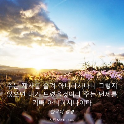 Picture 03 - 시편 51:16 KOR - 주는 제사를 즐겨 아니하시나니 - Bible Verse Picture